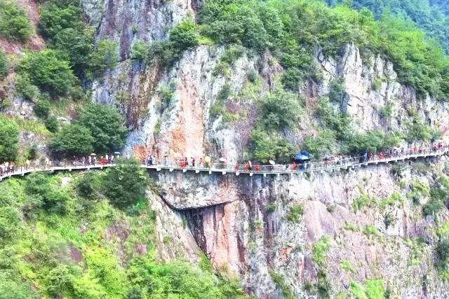 专升本后还要考助理医师吗游戏画面